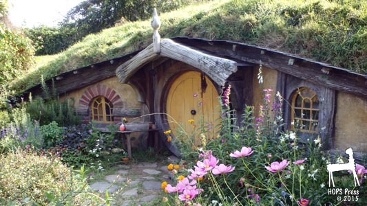 Hobbit house and flowers.