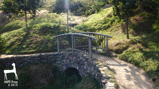 Small stone arch bridge at Hobbiton.
