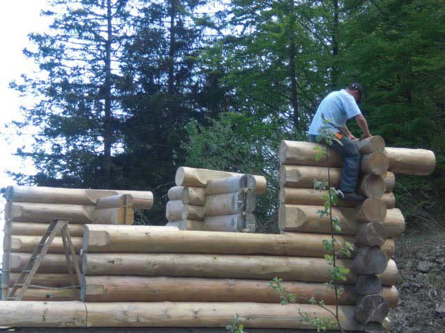 Rawcliffe House: Log walls.