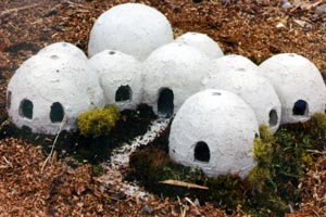 Multi-dome house model.